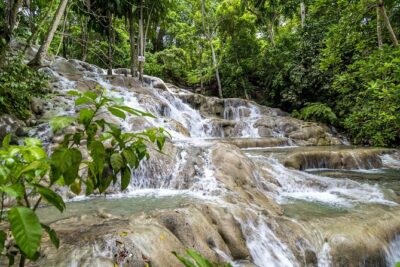 Full Day Dunn's River and Nine Miles with Lunch - Getting to Dunn’s River and Nine Mile: pickup, ride time, and group size