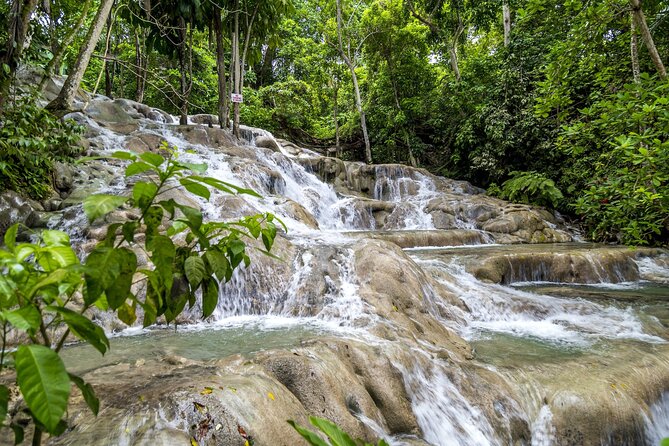 Full Day Dunn's River and Nine Miles with Lunch - Getting to Dunn’s River and Nine Mile: pickup, ride time, and group size