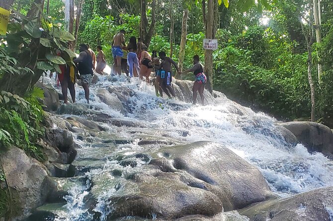 Full-Day Guided Tour to Dunns River Falls & shopping with lunch - Park Time and the Family-Friendly Water Fun