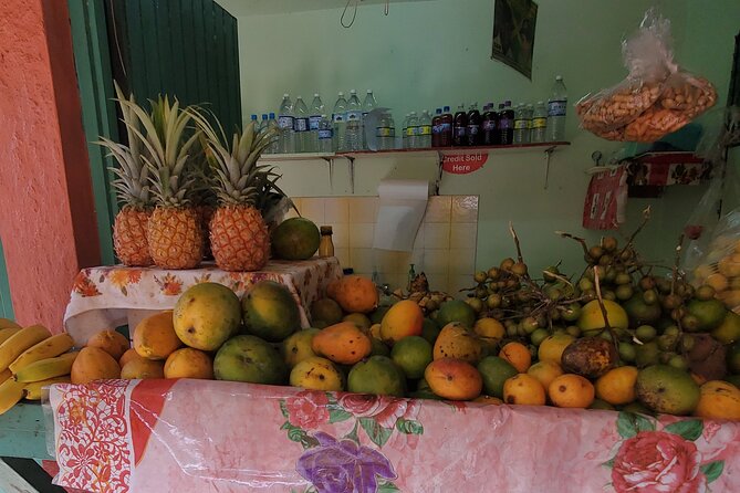 Full-Day Guided Tour to Dunns River Falls & shopping with lunch - Price and Value: What $130 Buys You in Jamaica