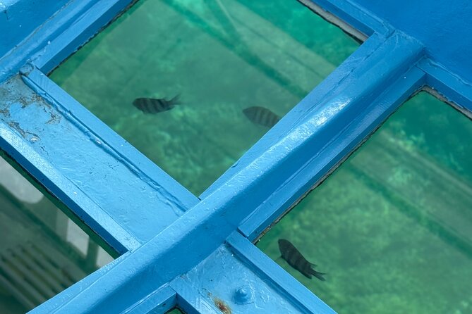Glass bottom Boat Tour and Snorkeling Experience in Montego Bay - What to bring (so snorkeling stays easy)