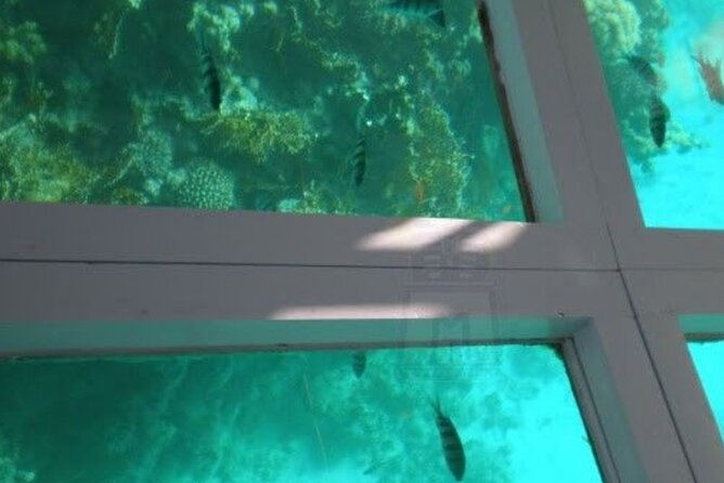 Glass Bottom Boat Water Activity in Montego Bay Jamaica - Getting There: Pickup, Private Transport, and WiFi Onboard