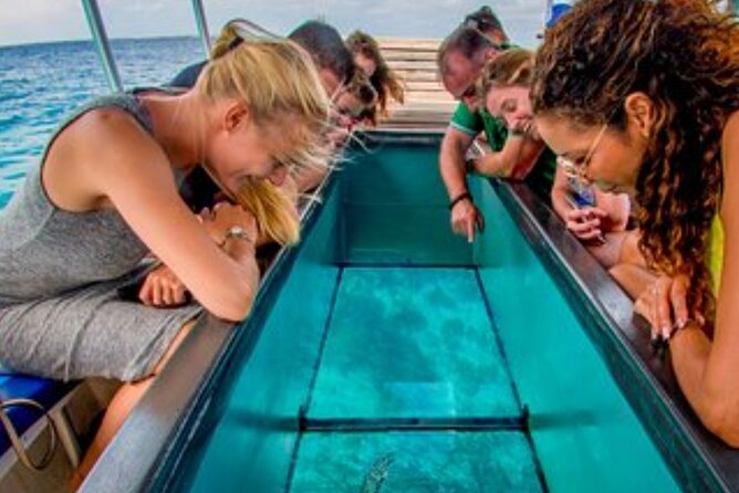 Glass Bottom Boat Water Activity in Montego Bay Jamaica - The Boat Experience: Glass Bottom Viewing Over Coral and Marine Life