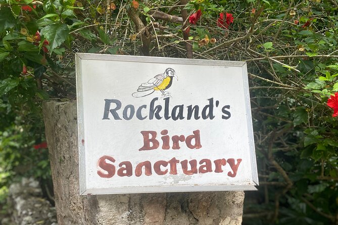Great River Bamboo Rafting and Bird Sanctuary Combine Tour From Montego Bay - Price and what you really get for $120