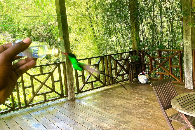 Great River Bamboo Rafting and Bird Sanctuary Combine Tour From Montego Bay - Who should book this and who should skip it