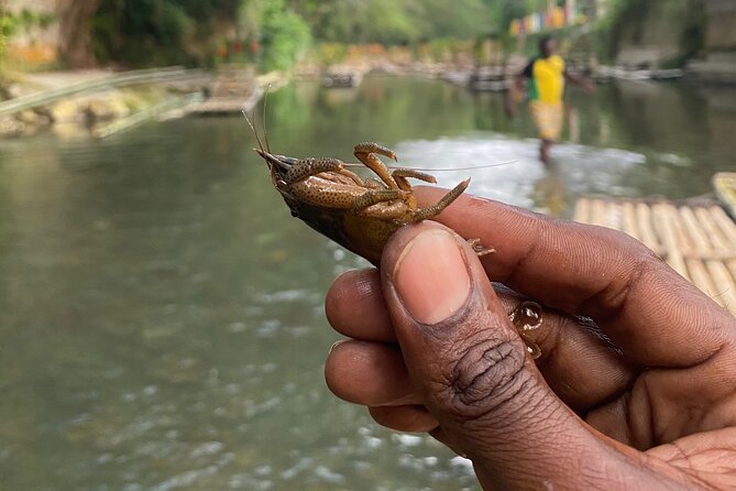 Great River Rafting - Limestone Foot Massage and ATV Rides From Montego Bay - Transport, Timing, and How the Private Tour Feels