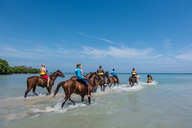 Half day Horse Back Riding and Bamboo Rafting Experience from Ocho Rios - The guide’s storytelling and Jamaican language lessons