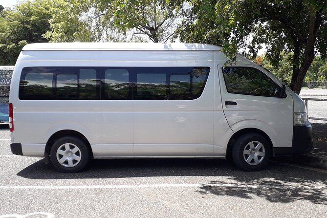 Half-Day Private Guided Ricks Café & Negril Seven Mile Beach Tour - Private, air-conditioned Montego Bay pickup with real stop flexibility