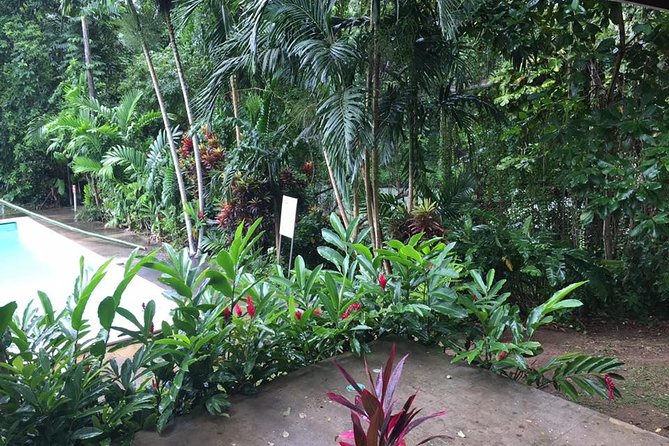 Half-Day Private Martha Brae Rafting Tour from Montego Bay - Who Should Book This Martha Brae Tour (and Who Might Want Another Style)