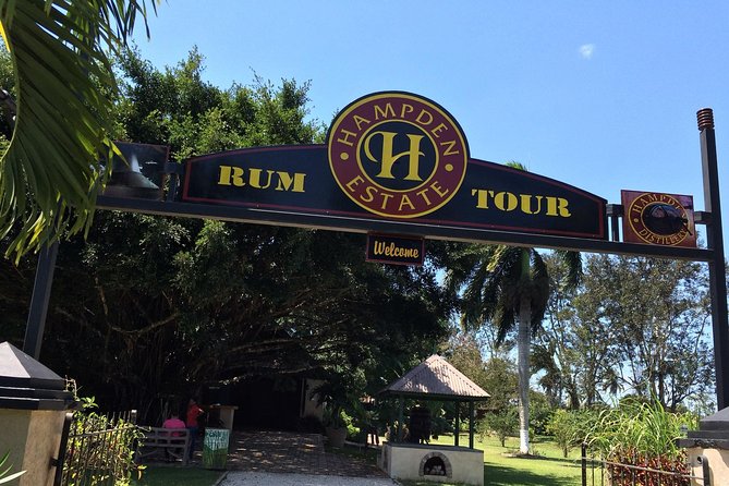 Hampden Estate Rum Tour and Lunch from Montego Bay - Key highlights to look forward to