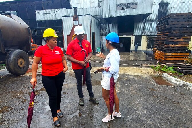 Hampden Estate Rum Tour and Lunch from Montego Bay - What you get at the end: rum cake to bring home