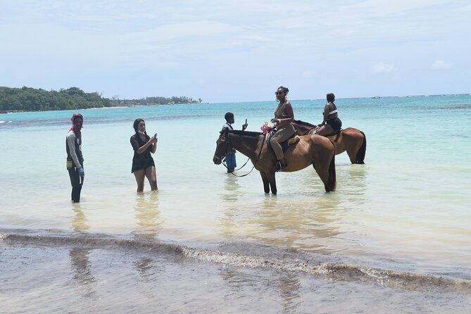 Horse Back Riding and Blue Hole From Montego Bay - Pickup Timing From Montego Bay: How the Day Actually Starts