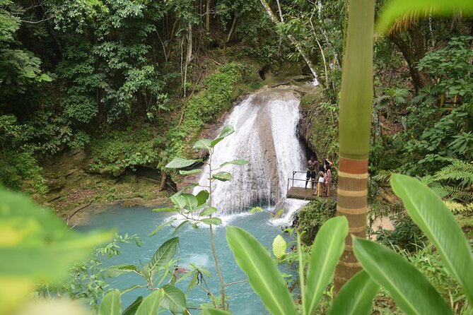 Horse Back Riding and Blue Hole From Montego Bay - Scotchies Drax Hall: Jerk Flavor Without the Guesswork