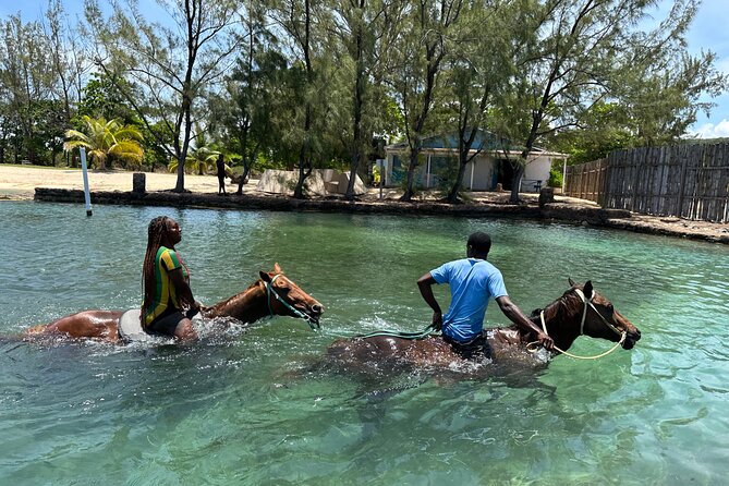 Horseback Ride and Swim Guided Tour from Montego Bay - The 1-hour countryside trail: farmlands, local stories, and real Jamaica texture