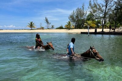 Horseback Ride and Swim Guided Tour from Montego Bay - Golden Eagle-style beach start: safety basics and horse-first care
