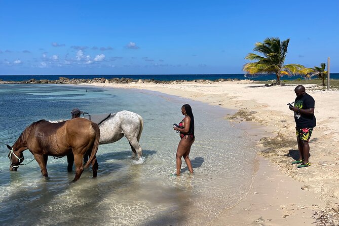Horseback Ride and Swim Guided Tour from Montego Bay - Back to the beach for the swim: bareback in the Caribbean Sea