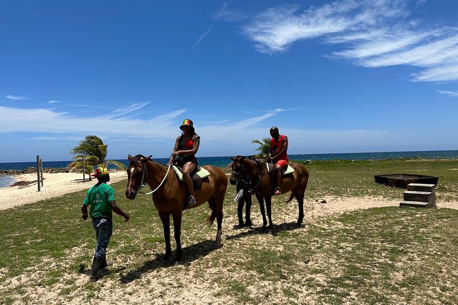 Horseback Ride and Swim Guided Tour from Montego Bay - Who should book this horseback ride and swim tour