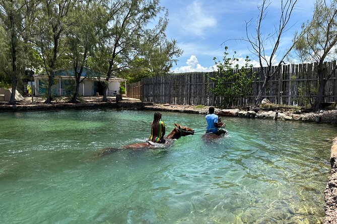 Horseback Ride and Swim Guided Tour from Montego Bay - Getting your day right in Montego Bay: timing, transport, and weather