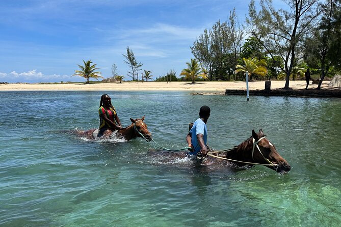 Horseback Ride and Swim Guided Tour from Montego Bay - Golden Eagle-style beach start: safety basics and horse-first care