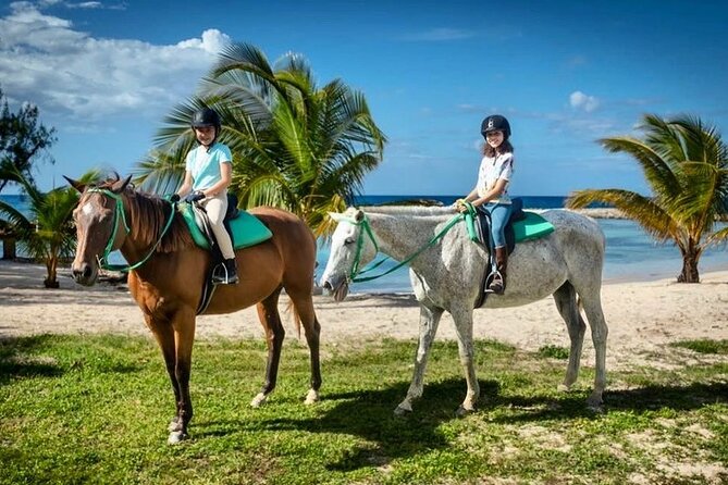 Horseback Ride and Swim Jamaica - Mount Up in Montego Bay: What This One Hour Really Feels Like