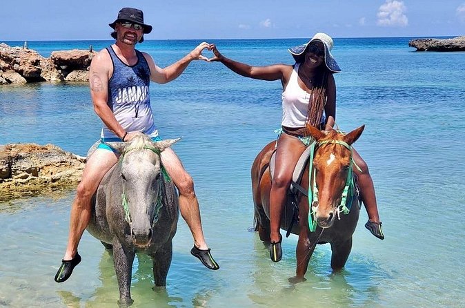 Horseback Ride and Swim Jamaica - Horses, Safety, and the Little Details That Tell You the Real Story