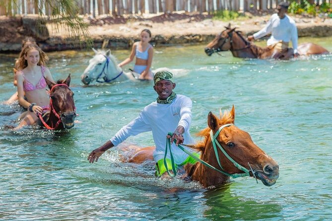 Horseback Ride and Swim Jamaica - The Ride Itself: Coastal Path, Banana Fields, and a Bee Farm