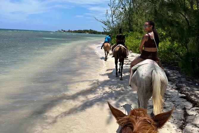 Horseback Ride and Swim Tour In Montego Bay - Getting There Smoothly from Hotels or Cruise Ports