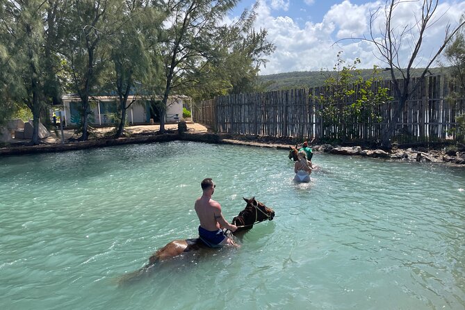 Horseback Ride and Swim Tour In Montego Bay - The Swim Moment: What “Riding and Swimming” Really Means