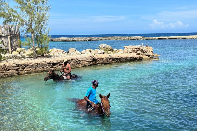 Horseback Ride and Swim Tour In Montego Bay - Price and Value: Is $170 Worth It?