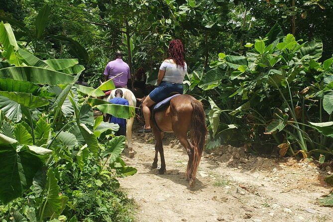 Horseback 'Ride N Swim' & Dunns River Falls from Montego Bay - Key things to know before you go