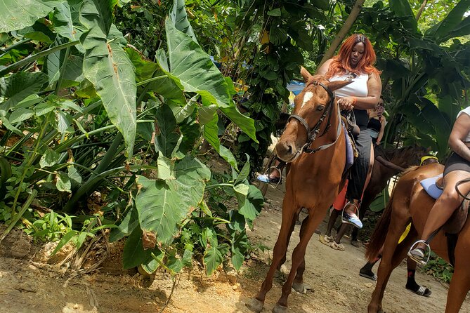 Horseback 'Ride N Swim' & Dunns River Falls from Montego Bay - Horseback and sea time just outside Montego Bay