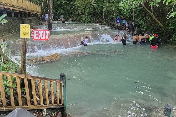 Horseback 'Ride N Swim' & Dunns River Falls from Montego Bay - Private A/C transport from hotels or cruise ports