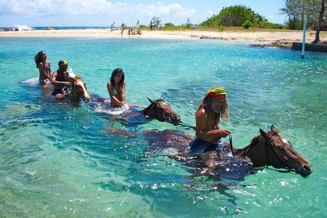 Horseback Ride & Swim Jamaica/Montego Bay - From Pickup to St. Ann: How Your Morning Gets Organized