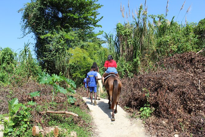 Horseback Ride & Swim Jamaica/Montego Bay - Guides, Timing, and Those Small Details That Make It Feel Smooth