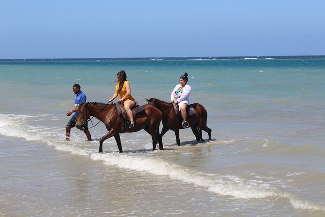 Horseback Ride & Swim Jamaica/Montego Bay - Price and Value: Is $150 for 3 Hours a Good Deal?