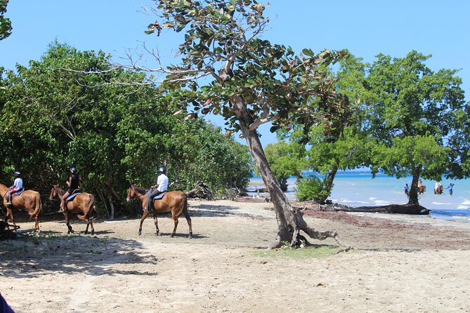 Horseback Ride & Swim Jamaica/Montego Bay - Who Should Book This Horseback Ride and Swim?