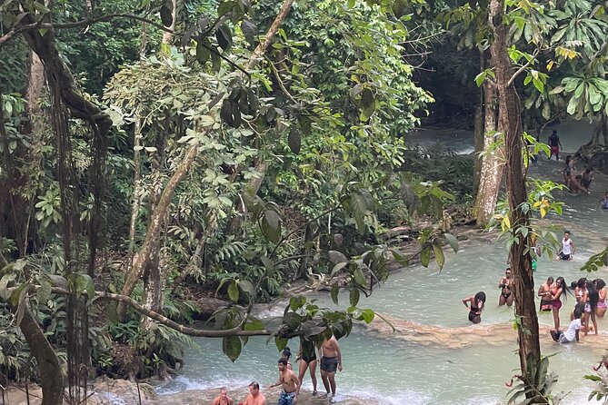 Horseback Riding and Swimming then Dunn's River Falls - Should you book this horseback riding and Dunn’s River combo?
