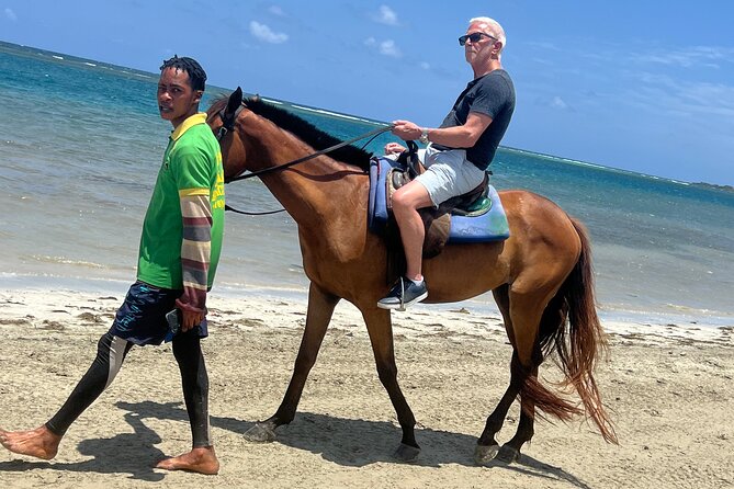 Horseback riding & bluehole secret falls from Montego Bay - Key points to know before you go
