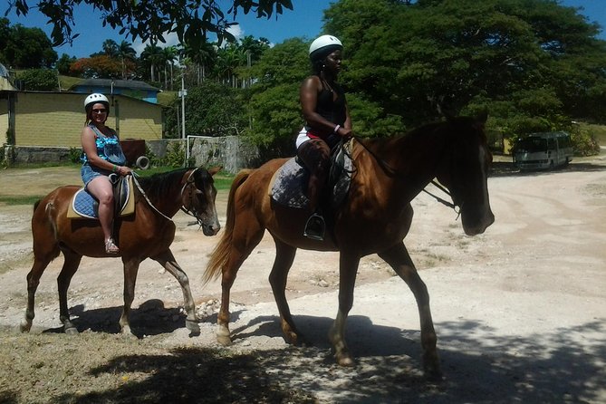 Horseback Riding Dunn's River Falls Adventure from Montego Bay - Key things that make this Dunn’s River horseback ride stand out