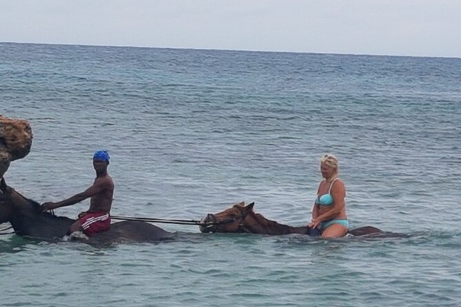 Horseback Riding Dunn's River Falls Adventure from Montego Bay - Price and value: is $186.35 fair for this horseback + Dunn’s River combo?