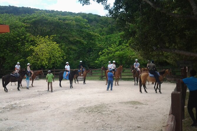 Horseback Riding Dunn's River Falls Adventure from Montego Bay - Should you book this Dunn’s River horseback tour from Montego Bay?