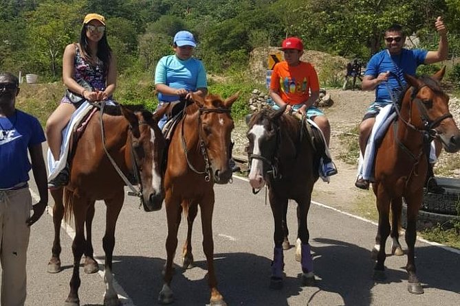 Horseback Riding from Montego Bay - How Much Time You’ll Actually Spend Riding