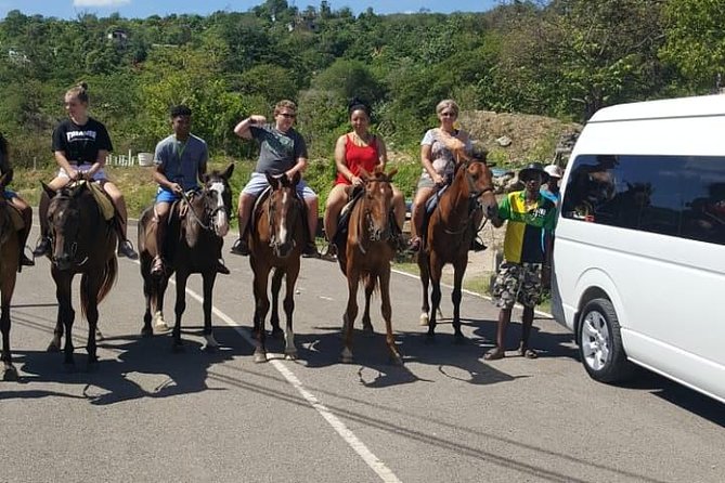 Horseback Riding from Montego Bay - Price and Value: Is $200 Fair for What You Get?