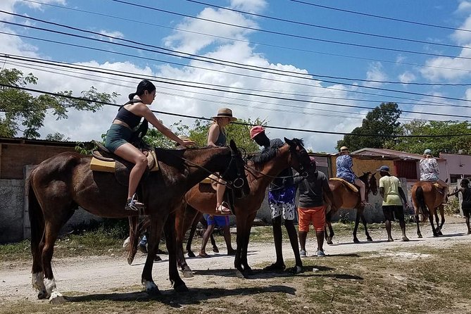Horseback Riding from Montego Bay - Who This Horseback Tour Fits Best (and Who Should Rethink It)
