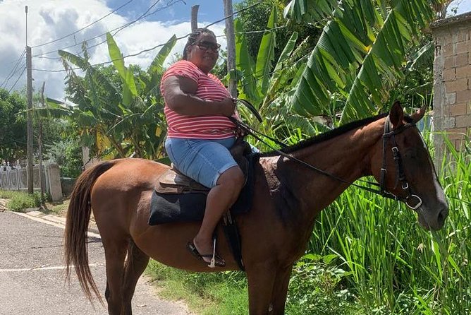 Horseback Riding from Montego Bay - Practical Tips to Have a Better Day on the Beach