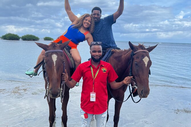 Horseback Riding In The Ocean from Montego Bay Private Transfer - The stress-free Montego Bay to St Ann’s Bay ride