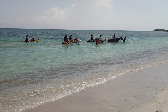 Horseback Riding plus Dunns River Falls Combo Private Tour - Timing, crowd energy, and what to bring