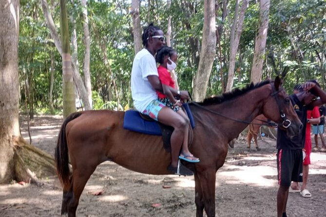 Horseback Riding plus Dunns River Falls Combo Private Tour - Who this tour suits best (and who might want to rethink it)