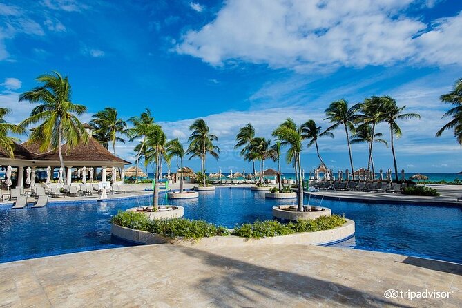 Hyatt Zilara Rose Hall Resort Private Airport Transfer - Vehicles and Luggage: Comfort Is the Whole Point Here