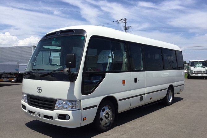 Iberostar Rose Hall Montego Bay Airport Transfer - Private vehicle comfort, plus luggage and baby-seat realities